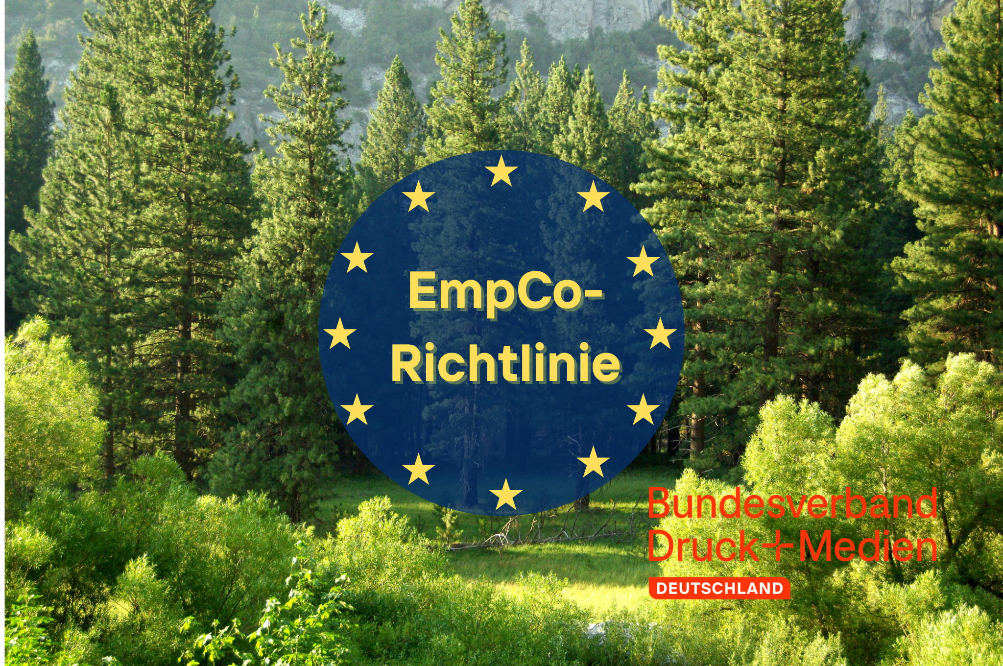 EmpCo.png EmpCo.png